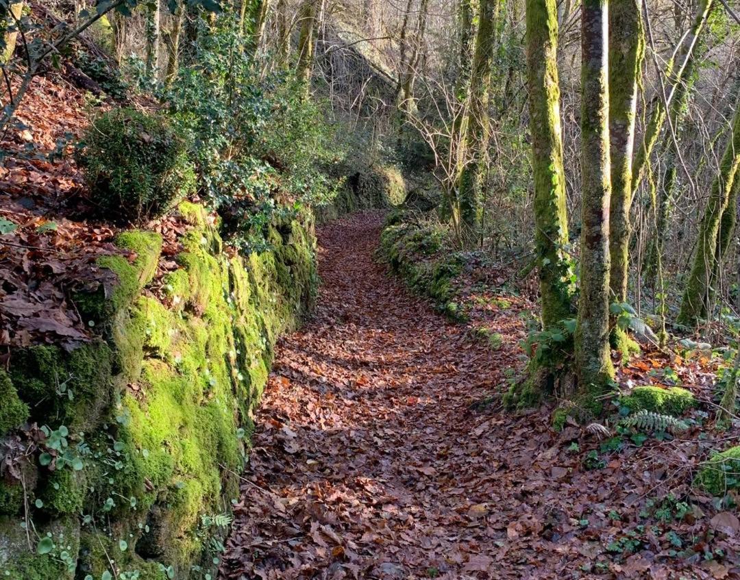 Le Chant Des Sources, Gites Et Chambres D'Hotes Avec Vue A Gimel-Les-Cascades Exterior foto