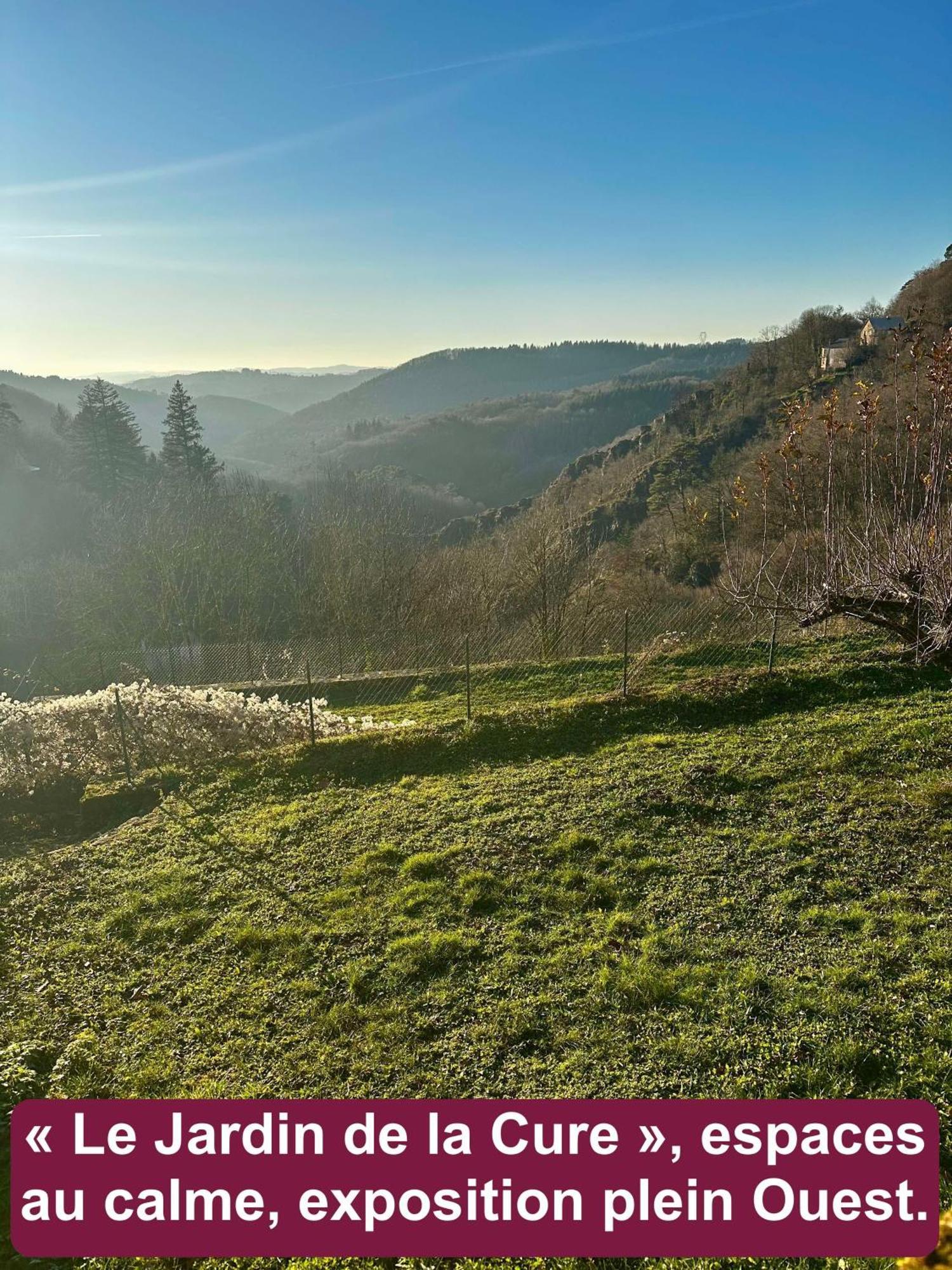 Le Chant Des Sources, Gites Et Chambres D'Hotes Avec Vue A Gimel-Les-Cascades Exterior foto